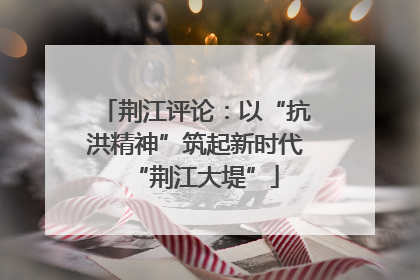 荆江评论：以“抗洪精神”筑起新时代“荆江大堤”