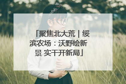 聚焦北大荒｜绥滨农场：沃野绘新景 实干开新局