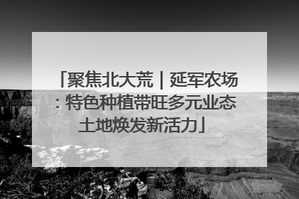 聚焦北大荒｜延军农场：特色种植带旺多元业态 土地焕发新活力