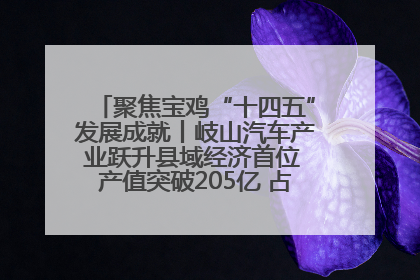 聚焦宝鸡“十四五”发展成就丨岐山汽车产业跃升县域经济首位 产值突破205亿 占规上工业75%