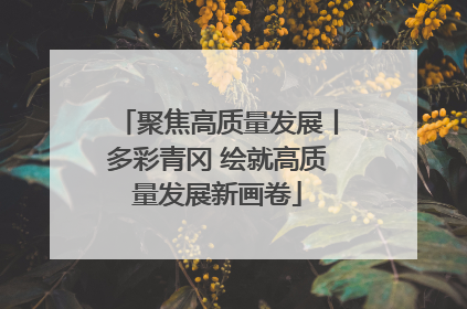 聚焦高质量发展丨多彩青冈 绘就高质量发展新画卷