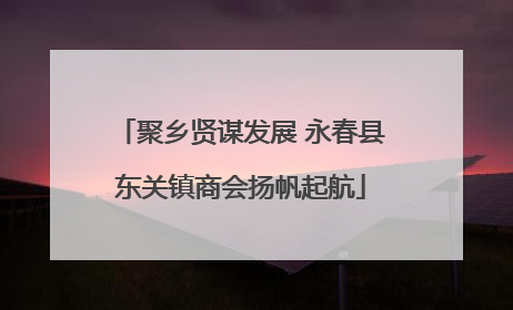 聚乡贤谋发展 永春县东关镇商会扬帆起航