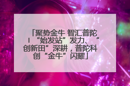聚势金牛 智汇普陀〡“始发站”发力、“创新田”深耕，普陀科创“金牛”闪耀