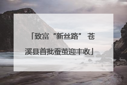 致富“新丝路” 苍溪县首批蚕茧迎丰收