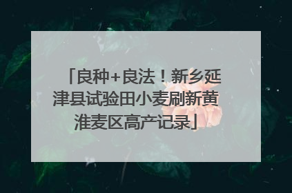 良种+良法！新乡延津县试验田小麦刷新黄淮麦区高产记录
