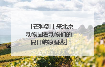 芒种到丨来北京动物园看动物们的夏日纳凉图鉴