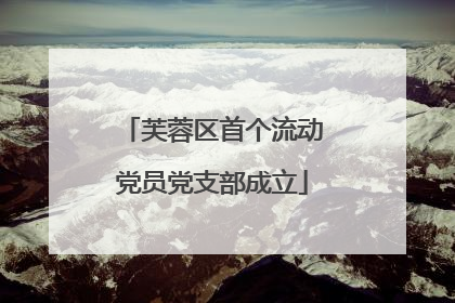 芙蓉区首个流动党员党支部成立