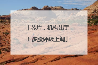 芯片，机构出手！多股评级上调