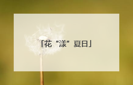 花“漾”夏日