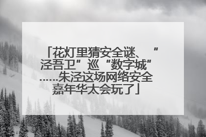 花灯里猜安全谜、“泾吾卫”巡“数字城”……朱泾这场网络安全嘉年华太会玩了