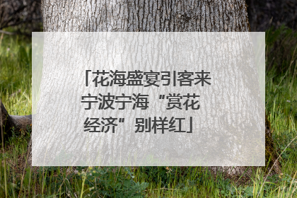花海盛宴引客来 宁波宁海“赏花经济”别样红
