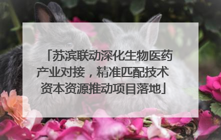 苏滨联动深化生物医药产业对接，精准匹配技术资本资源推动项目落地