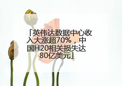 英伟达数据中心收入大涨超70%，中国H20相关损失达80亿美元