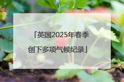 英国2025年春季创下多项气候纪录