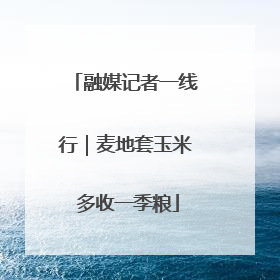 融媒记者一线行｜麦地套玉米 多收一季粮
