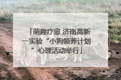 萌趣疗愈 济南高新一实验“小狗领养计划”心理活动举行