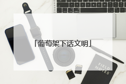 葡萄架下话文明
