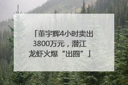 董宇辉4小时卖出3800万元，潜江龙虾火爆“出圈”