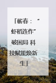 蕲春：“虾稻连作”破困局 科技赋能焕新生