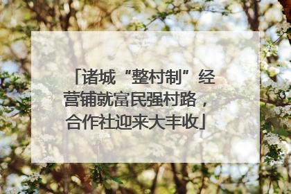 诸城“整村制”经营铺就富民强村路，合作社迎来大丰收