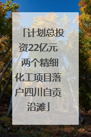 计划总投资22亿元 两个精细化工项目落户四川自贡沿滩