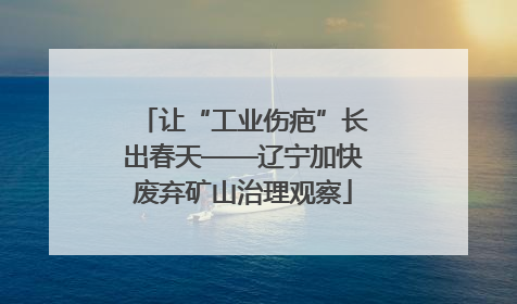 让“工业伤疤”长出春天——辽宁加快废弃矿山治理观察