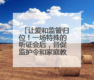 让爱和监管归位！一场特殊的听证会后，督促监护令和家庭教育指导方案同时送达
