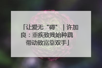 让爱无“碍”｜许加良：重疾致残始种藕 带动致富靠双手