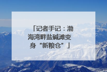 记者手记：渤海湾畔盐碱滩变身“新粮仓”