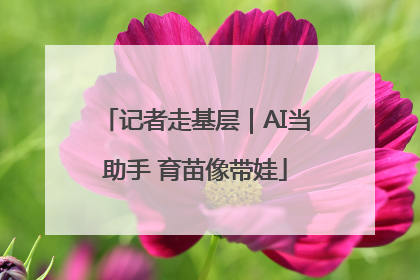记者走基层｜AI当助手 育苗像带娃
