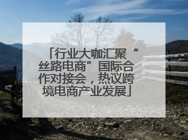 行业大咖汇聚“丝路电商”国际合作对接会，热议跨境电商产业发展