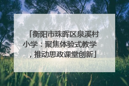 衡阳市珠晖区泉溪村小学：聚焦体验式教学，推动思政课堂创新