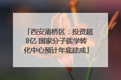 西安灞桥区：投资超8亿 国家分子医学转化中心预计年底建成