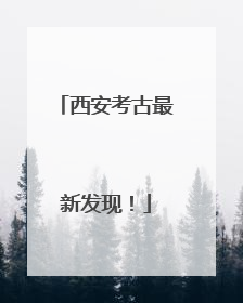 西安考古最新发现！
