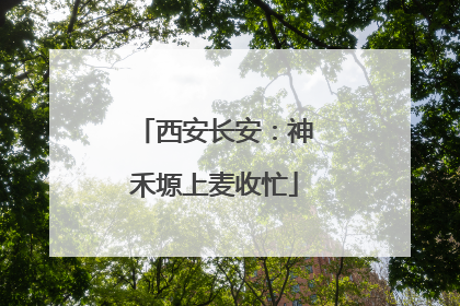 西安长安：神禾塬上麦收忙
