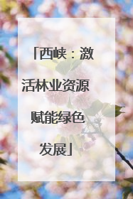 西峡：激活林业资源 赋能绿色发展