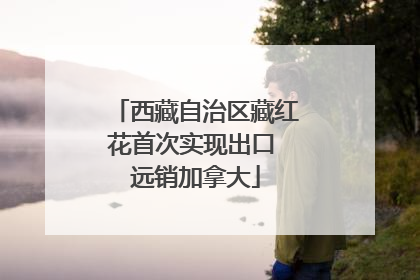 西藏自治区藏红花首次实现出口 远销加拿大