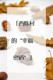 西陈村的“幸福密码”