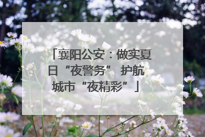 襄阳公安：做实夏日“夜警务” 护航城市“夜精彩”