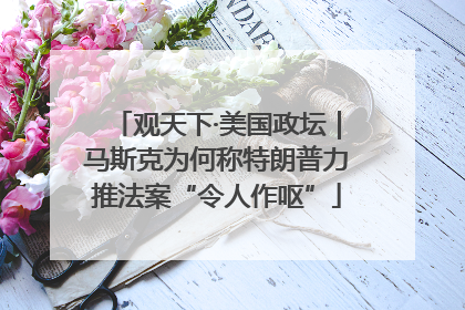 观天下·美国政坛｜马斯克为何称特朗普力推法案“令人作呕”