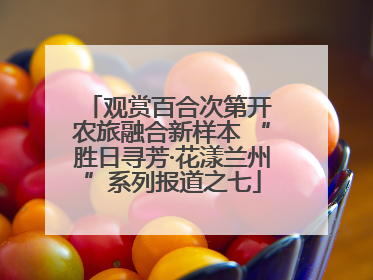 观赏百合次第开 农旅融合新样本 “胜日寻芳·花漾兰州”系列报道之七