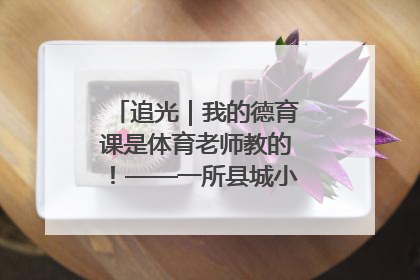追光｜我的德育课是体育老师教的！——一所县城小学的思政课改革