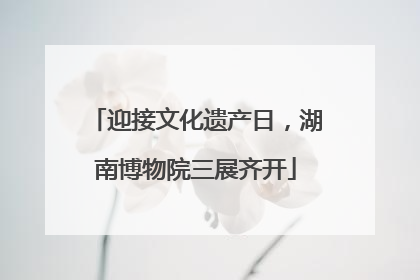 迎接文化遗产日，湖南博物院三展齐开