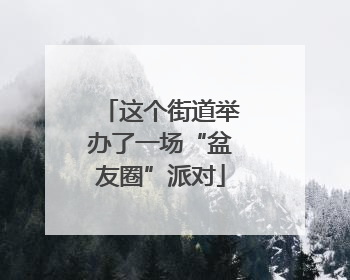 这个街道举办了一场“盆友圈”派对