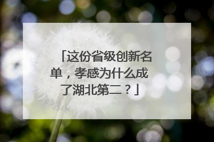 这份省级创新名单，孝感为什么成了湖北第二？