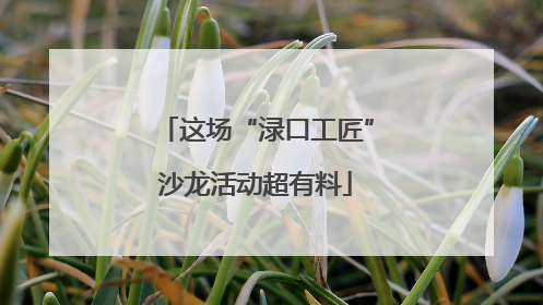 这场“渌口工匠”沙龙活动超有料