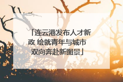 连云港发布人才新政 绘就青年与城市双向奔赴新图景