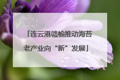 连云港赣榆推动海苔老产业向“新”发展