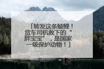 转发这条鲮鲤！货车司机救下的“胖宝宝”，是国家一级保护动物！