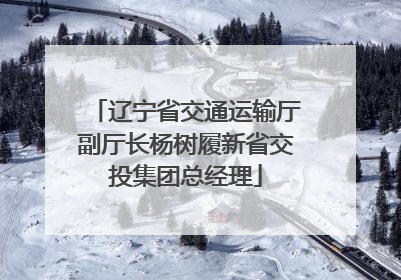 辽宁省交通运输厅副厅长杨树履新省交投集团总经理